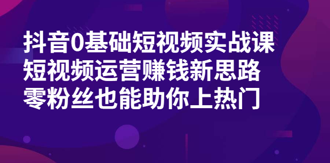 【副业2439期】抖音0基础玩转短视频实战课：短视频运营赚钱新思路