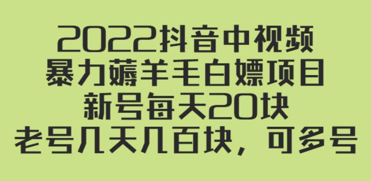 【副业2844期】2022抖音中视频项目：暴力薅羊毛，新号每天20，老号每天几百