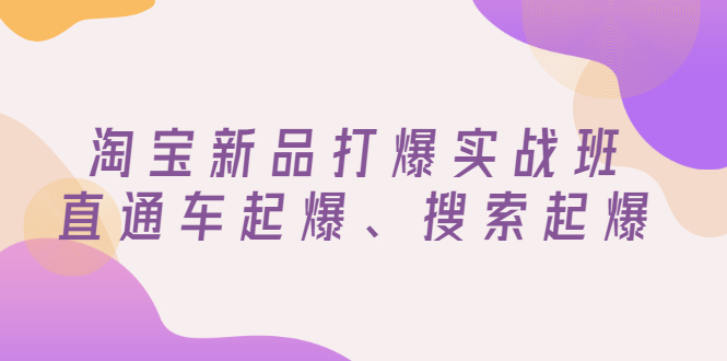 【副业3213期】淘宝新品怎么推广效果最好：淘宝新品直通车起爆、搜索起爆（价值599元）