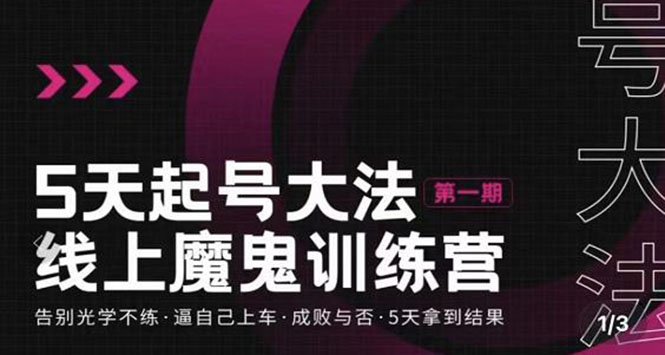 【副业3461期】抖音起号最快的方法：五天抖音起号魔鬼训练营，5天拿到结果（全套视频）