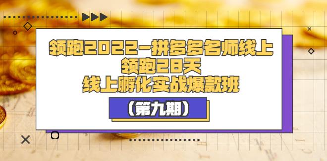 【副业3615】拼多多怎么开店：领跑2022-拼多多名师线上领跑28天（第九期）