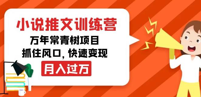 【副业3882】抖音小说推广怎么赚钱：月入过万副业项目，小说推文训练营