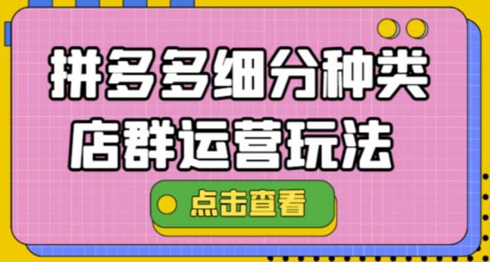 【副业3990】拼多多店群11月最新玩法：拼多多细分种类店群运营玩法3.0