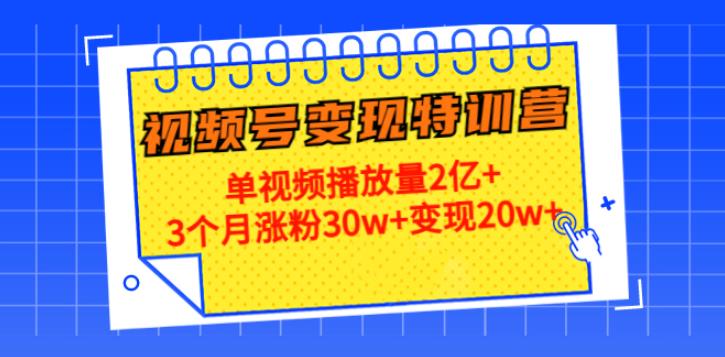 如何做视频号赚钱：3个月涨粉30w+变现20w+，20天视频号变现特训营