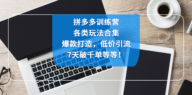 【副业4167期】拼多多店铺运营：爆款打造，低价引流，7天破千单，拼多多训练营